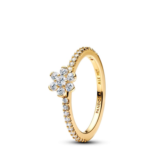 Fund Grube PANDORA Joyer&iacute;a Anillo con un recubrimiento electrol&iacute;tico en oro 164499C01 Review