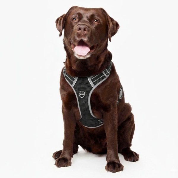Fur King No Pull Dog Harness Review