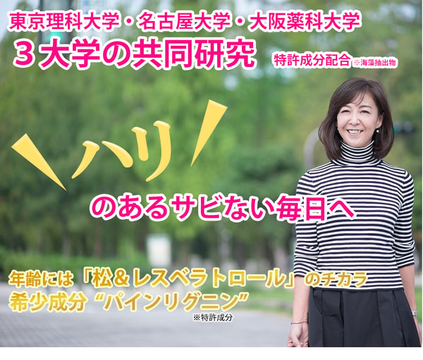 Furojyuについて