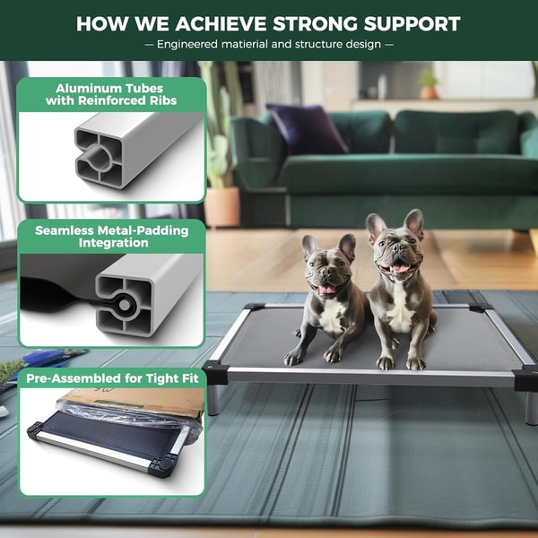 FXW Dog Playpen TitanNest Elevated Dog Bed Review