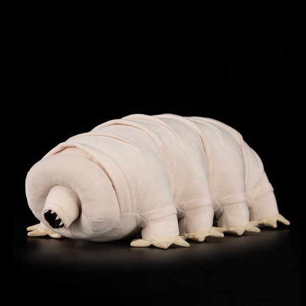 Gage Beasley Tardigrade Water Bear Review