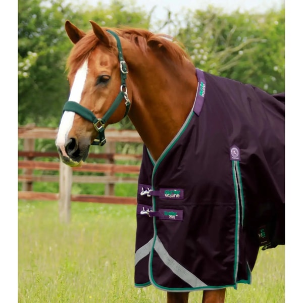 Galop Store : &Eacute;quipement &Eacute;questre et Animalier