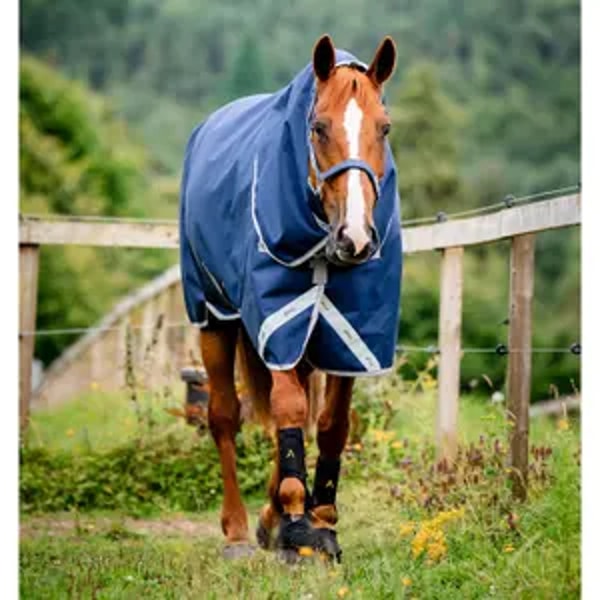Overzicht van Galop-Store