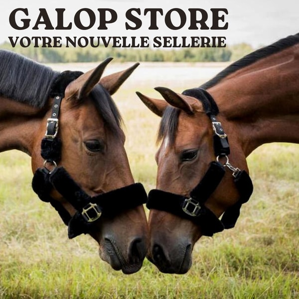 &Uuml;berblick &uuml;ber Galopp-Store