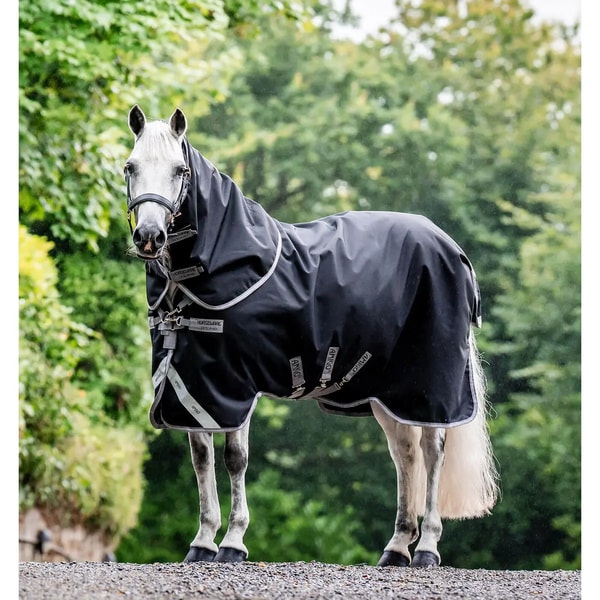 Galopp-Store Bewertung
