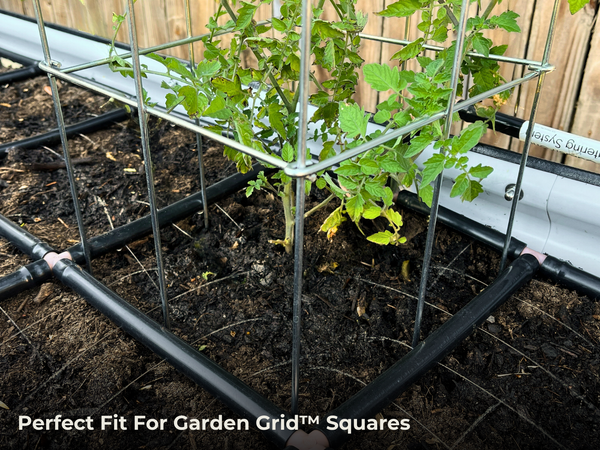Garden In Minutes GIM Tomato Cages Review