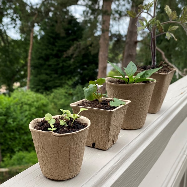 Overview of Garden Selections