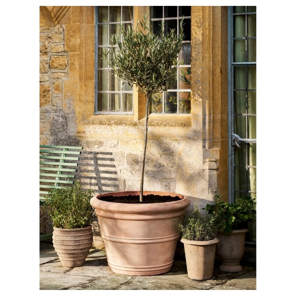 Garden Trading Newnham Planter Review