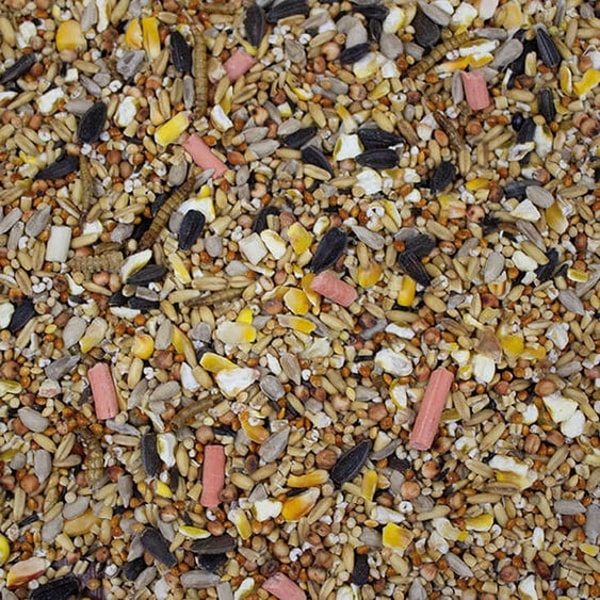 Garden Wildlife Direct Songbird Spring & Summer Mix Review