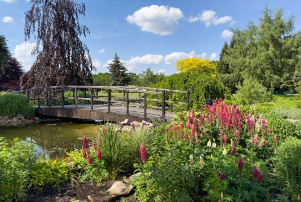 Gardendecoration.co.uk Serene Garden Bridge Review