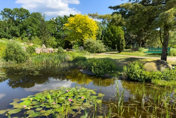 Gardendecoration.co.uk Serene Garden Reflection Review