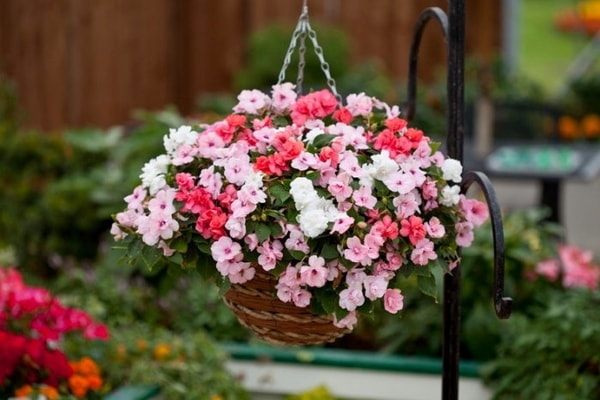 About Gardening Direct