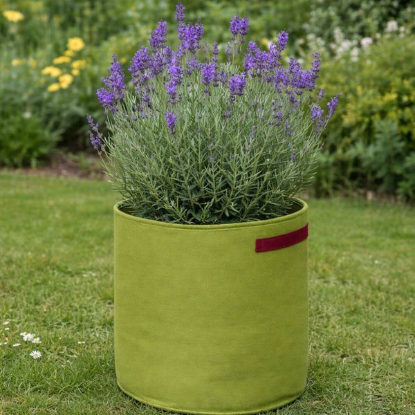 Gardening Naturally Review