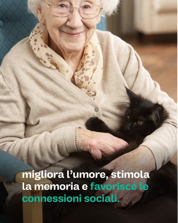 Gatto con Personalit&agrave; Recensione