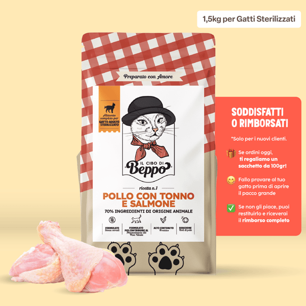 Gatto con Personalit&agrave; Il Cibo di Beppo Crocchette Recensione