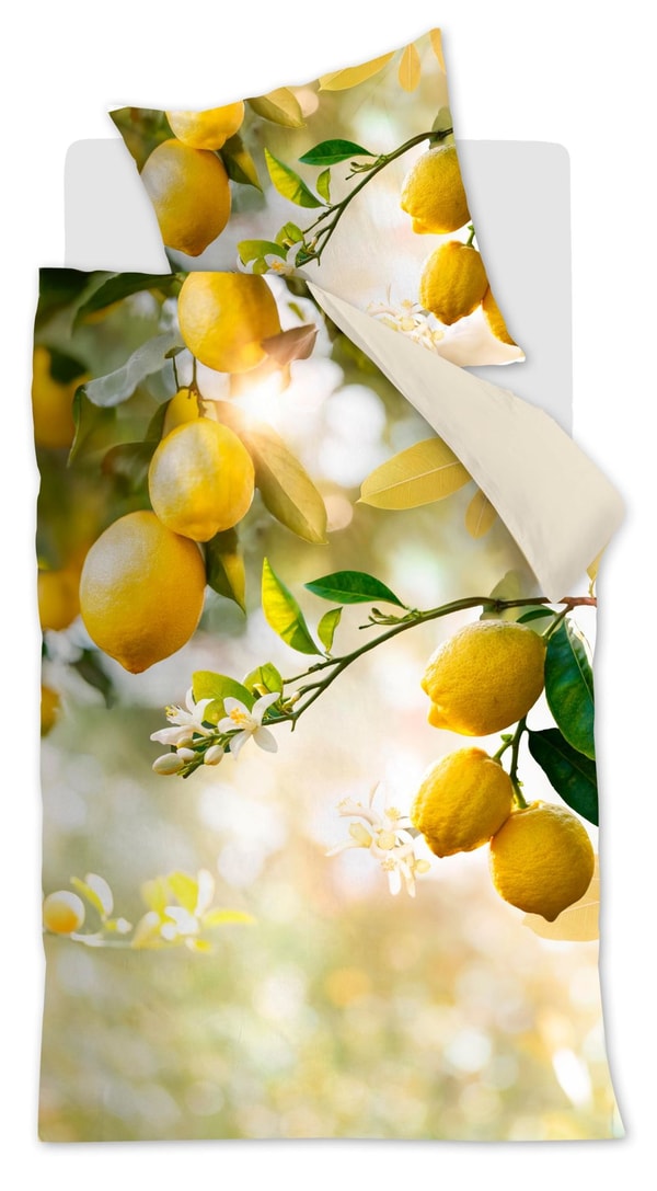 Gebers Beddinghouse Bettw&auml;sche Renforc&eacute; - Lemontree Review
