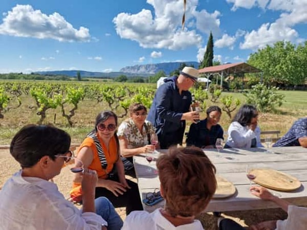 From Aix-en-Provence: C&ocirc;tes de Provence Wine Tour Review