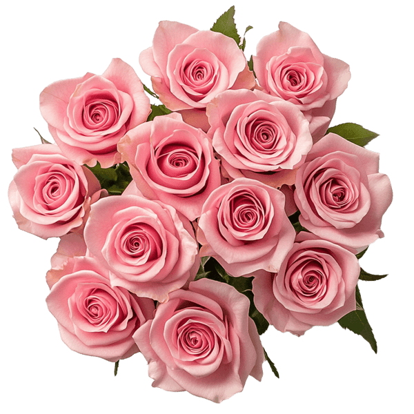 Global Rose Mothers Day Pink Roses Reviews