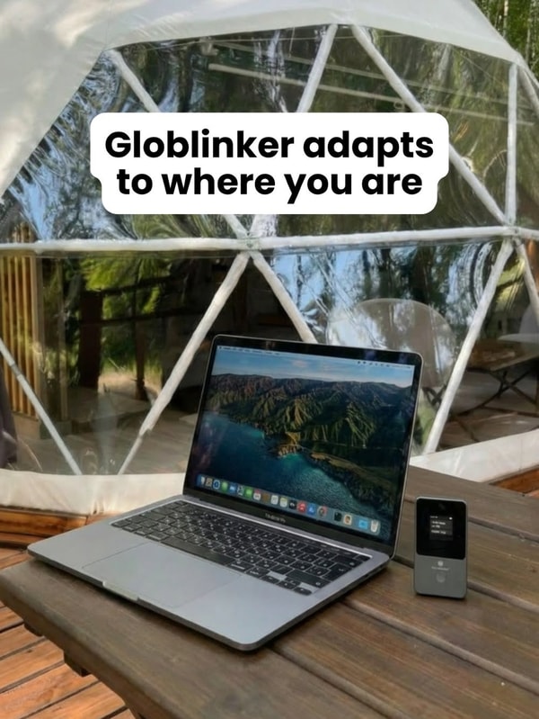 About GLOBLINKER