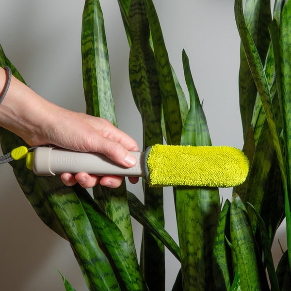 GOHA Plant Parent Bundle Review
