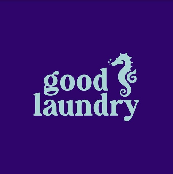 Good Laundry VS Traditional Detergents