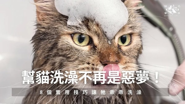 关于 GoodMo