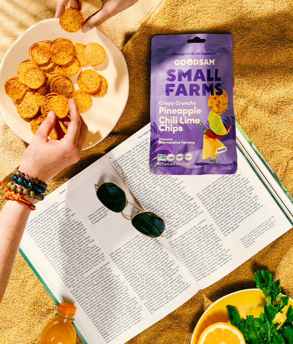 GoodSAM Foods Crispy Crunchy Pineapple Chips Snack Pack Review