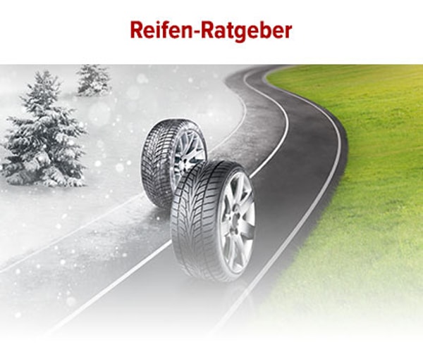 Goodwheel Bewertung