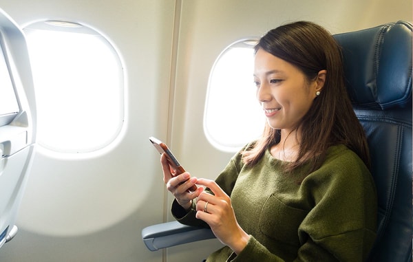 Servicio De Agencia De Viajes En L&iacute;nea