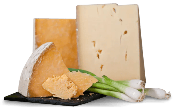 About Gourmet Cheese of the Month Club