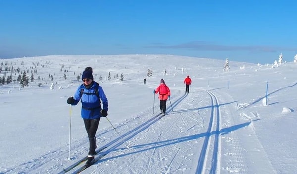 Grand Angle Laponie finlandaise : Kiilop&auml;&auml; Avis