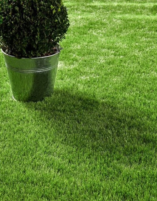 Grass Direct Lucerne Artificial Grass Review