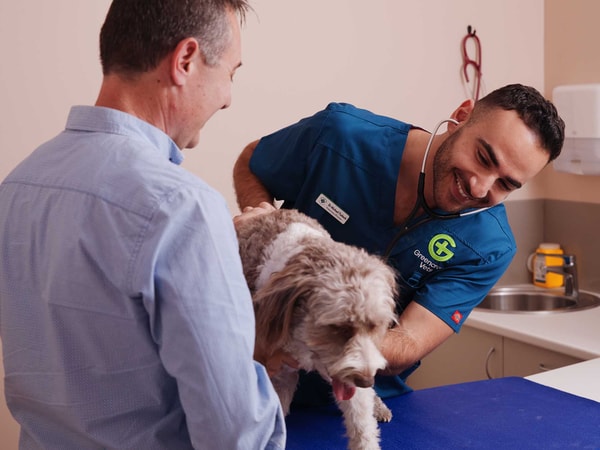 About Greencross Vets