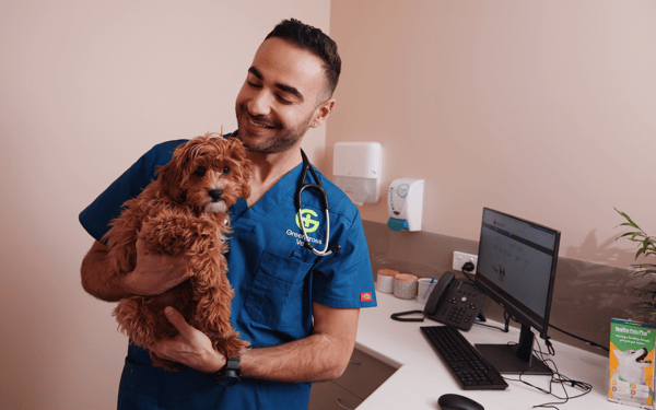 Greencross Vets Review