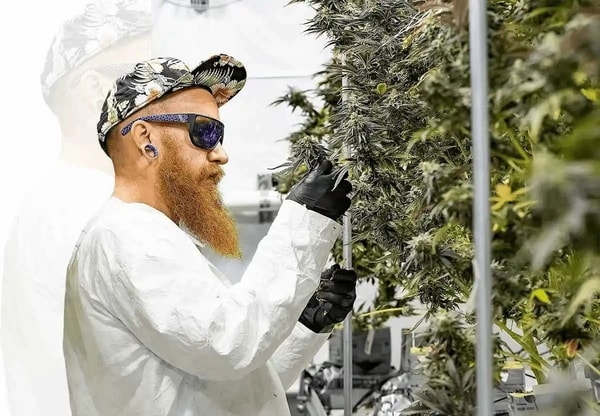 &Agrave; propos de GreenVertus
