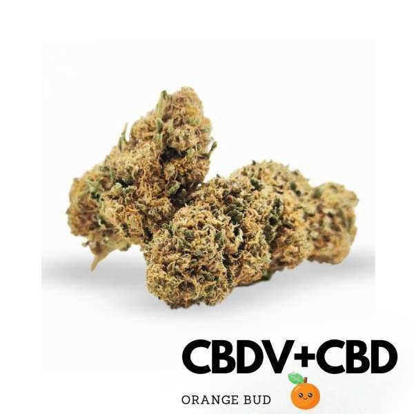 GreenVertus Orange Bud CBD Avis