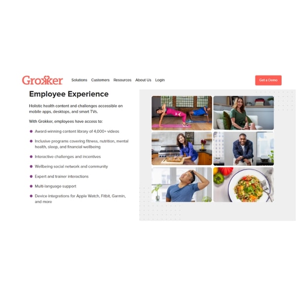 Grokker Usage and Access