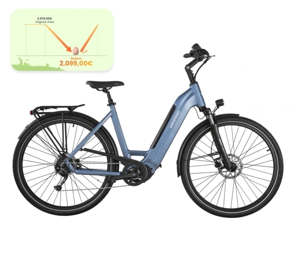 GRUNDIG E-bike GCB-1 E-Bike Eisblau Bewertungen