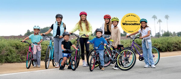 About Guardian Bikes