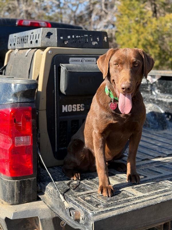 Gunner Kennels Overview