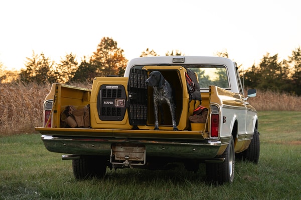 About Gunner Kennels