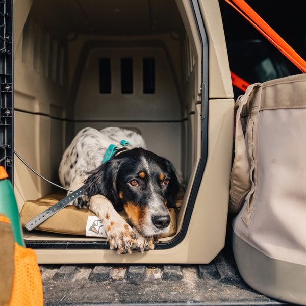 Gunner Kennels Orthopedic Kennel Bed Review