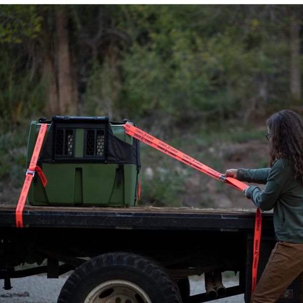 Gunner Kennels Tie-Down Strap Kit Review