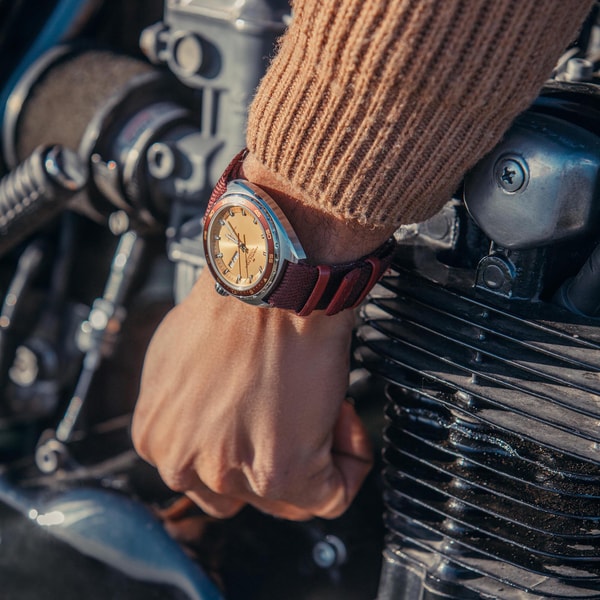 About Hamilton Watch