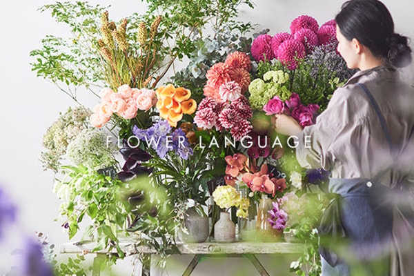 Hanna Flower and Greenery レビュー