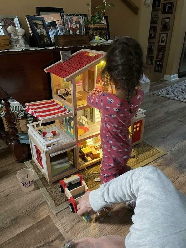 Hape Toys Hape Dollhouse Playsets Review
