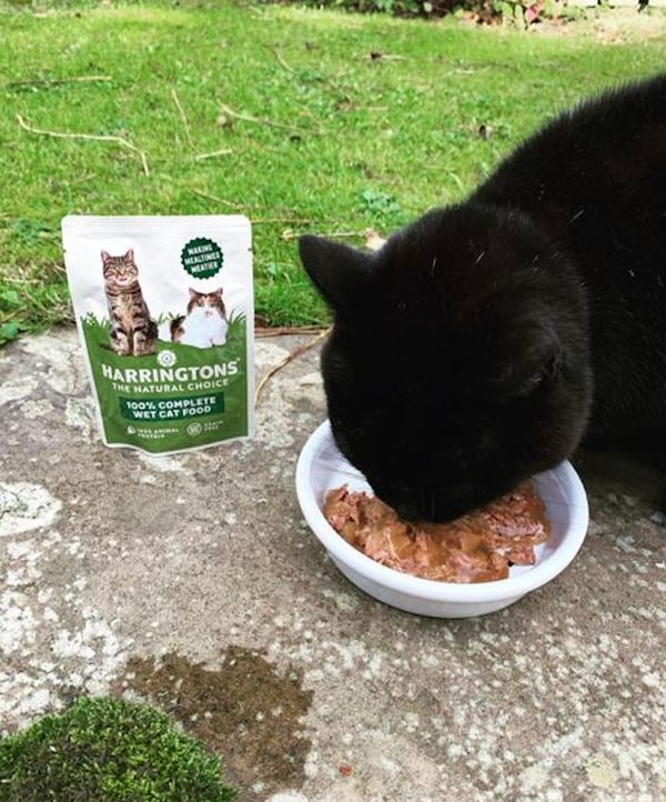 About Harringtons Pet Food UK Manufacturer