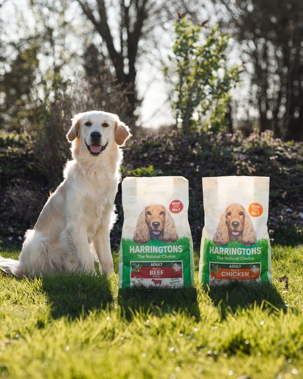 Harringtons Pet Food Review