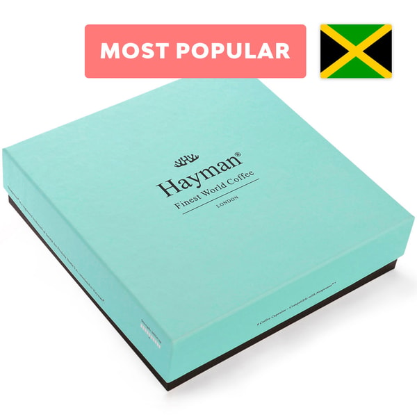 Hayman Coffee Jamaica Blue Mountain Review