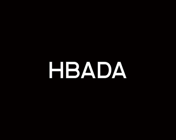 HBADA vs Premium Ergonomic Chair Brands
